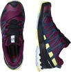 Damskie buty do biegania Salomon XA Pro 3D V8 GTX W Plum Caspia