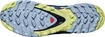 Damskie buty do biegania Salomon XA Pro 3D V8 GTX W Plum Caspia