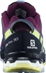 Damskie buty do biegania Salomon XA Pro 3D V8 GTX W Plum Caspia