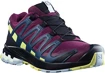 Damskie buty do biegania Salomon XA Pro 3D V8 GTX W Plum Caspia