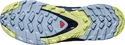 Damskie buty do biegania Salomon XA Pro 3D V8 GTX W Plum Caspia