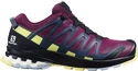 Damskie buty do biegania Salomon XA Pro 3D V8 GTX W Plum Caspia
