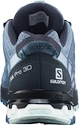 Damskie buty do biegania Salomon XA PRO 3D v8 Pro 3D v8 Ashley Blue