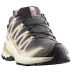 Damskie buty do biegania Salomon Xa Pro 3D V9 Gore-Tex Nine Iron/Oxford Tan/Alfalfa