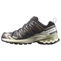 Damskie buty do biegania Salomon Xa Pro 3D V9 Gore-Tex Nine Iron/Oxford Tan/Alfalfa