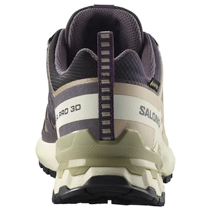 Damskie buty do biegania Salomon Xa Pro 3D V9 Gore-Tex Nine Iron/Oxford Tan/Alfalfa