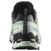 Damskie buty do biegania Salomon Xa Pro 3D V9 Gore-Tex Quiet Shade/Lily Pad/Blue Haze