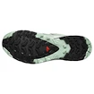 Damskie buty do biegania Salomon Xa Pro 3D V9 Gore-Tex Quiet Shade/Lily Pad/Blue Haze