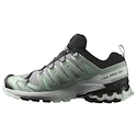 Damskie buty do biegania Salomon Xa Pro 3D V9 Gore-Tex Quiet Shade/Lily Pad/Blue Haze
