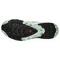 Damskie buty do biegania Salomon Xa Pro 3D V9 Gore-Tex Quiet Shade/Lily Pad/Blue Haze