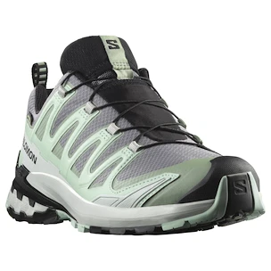 Damskie buty do biegania Salomon Xa Pro 3D V9 Gore-Tex Quiet Shade/Lily Pad/Blue Haze