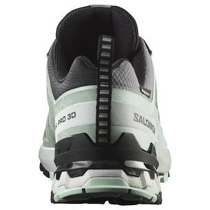 Damskie buty do biegania Salomon Xa Pro 3D V9 Gore-Tex Quiet Shade/Lily Pad/Blue Haze