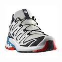 Damskie buty do biegania Salomon XA Pro 3D V9 GTX W LunarRock/White/Black