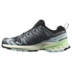 Damskie buty do biegania Salomon Xa Pro 3D V9 Turbulence/Iced Aqua/Patina Green