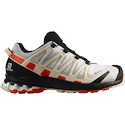 Damskie buty do biegania Salomon XA Pro 3D XA PRO 3D v8 GTX W Lunar Rock  UK 7