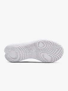 Damskie buty do biegania Under Armour Flow Velociti Wind-PPL  EUR 38