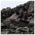 Damskie buty outdoorowe adidas Terrex AX4 Gtx Burgundy/Preloved Fig/Warm Clay