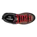 Damskie buty outdoorowe Salewa  MTN Trainer 2 GTX