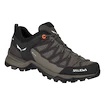 Damskie buty outdoorowe Salewa  WS MTN Trainer Lite GTX Wallnut/Fluo Coral