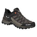 Damskie buty outdoorowe Salewa  WS MTN Trainer Lite GTX Wallnut/Fluo Coral