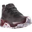 Damskie buty outdoorowe Salomon CROSS HIKE GTX 2 W