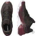 Damskie buty outdoorowe Salomon  CROSS HIKE GTX 2 W