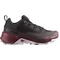 Damskie buty outdoorowe Salomon  CROSS HIKE GTX 2 W