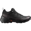 Damskie buty outdoorowe Salomon CROSS HIKE GTX 2 W