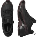 Damskie buty outdoorowe Salomon CROSS HIKE GTX 2 W