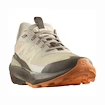 Damskie buty outdoorowe Salomon ELIXIR ACTIV W White Pepper/Falcon/Papaya