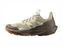 Damskie buty outdoorowe Salomon  ELIXIR ACTIV W White Pepper/Falcon/Papaya