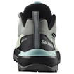 Damskie buty outdoorowe Salomon X Ultra 360 Gore-TexSedona Sage/Black/Sea Foam