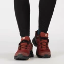 Damskie buty outdoorowe Salomon X ULTRA 4 GTX W