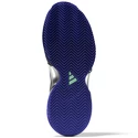 Damskie buty tenisowe adidas Barricade W Clay Blue/Violet