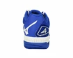 Damskie buty tenisowe Mizuno  Wave Exceed Tour 4 CC White/Blue