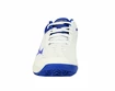 Damskie buty tenisowe Mizuno  Wave Exceed Tour 4 CC White/Blue