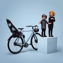 Fotelik rowerowy Thule Yepp 2 Maxi - Frame Mount - Alaska
