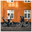 Fotelik rowerowy Thule Yepp Nexxt 2 Mini Black