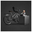 Fotelik rowerowy Thule Yepp Nexxt 2 Mini Mint