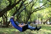 Hamak Eno  Lounger Hanging Chair Purple/Teal