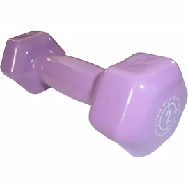 Hantle na jedno ramię Power System Vinyl Dumbell 2 Kg Purple