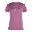 Koszulka damska Icebreaker Merino 150 Tech Lite SS T South Const Deco L