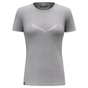 Koszulka damska Salewa  Solidlogo Dri-release Heather grey 40