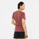 Koszulka damska Salomon  Cross Run Graphic Tee Cabernet