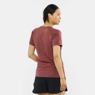 Koszulka damska Salomon  Cross Run Graphic Tee Cabernet
