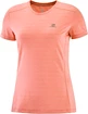 Koszulka damska Salomon  XA Tee W Brick Dust