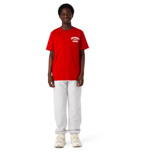 Koszulka dziecięca CCM  Athleisure Tee Red