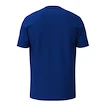 Koszulka dziecięca Head  CLUB ORIGINAL T-Shirt Junior RO