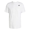 Koszulka męska adidas  Club Tennis Climacool Graphic T-Shirt White
