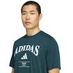 Koszulka męska adidas  Heritage Graphic Tee Aurora Ivy